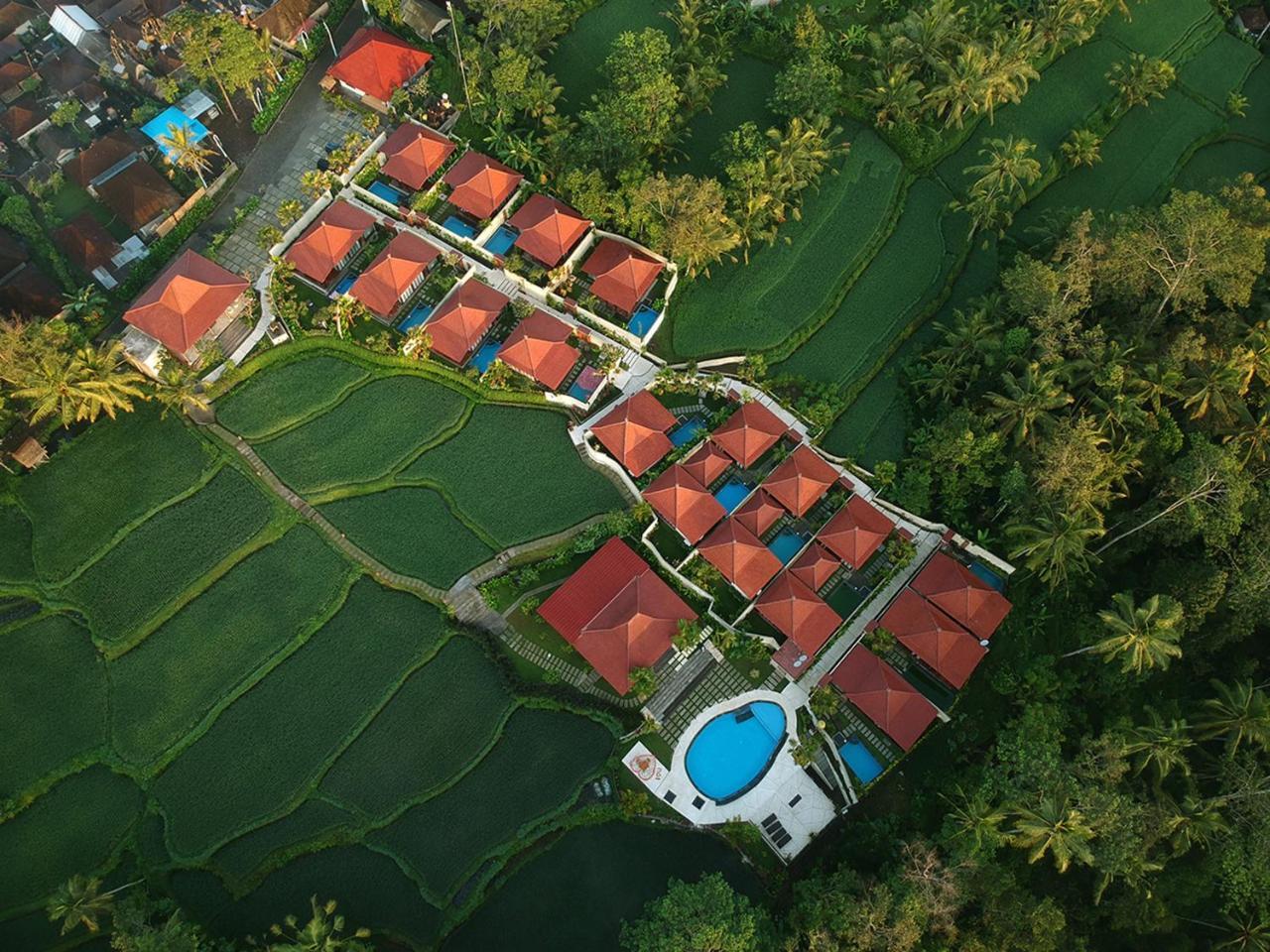 Vrindavan Ubud Villa Тегаллаланг Экстерьер фото