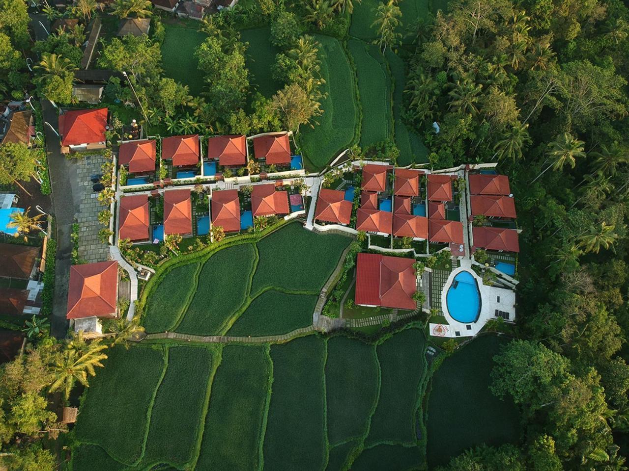 Vrindavan Ubud Villa Тегаллаланг Экстерьер фото