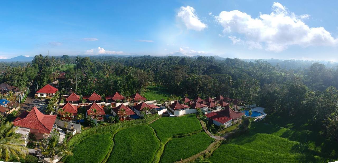 Vrindavan Ubud Villa Тегаллаланг Экстерьер фото
